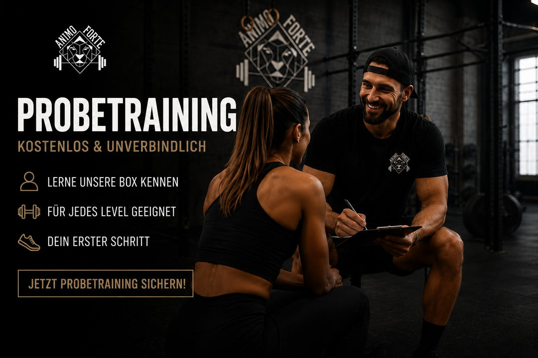 Probetraining bei Animo Forte.