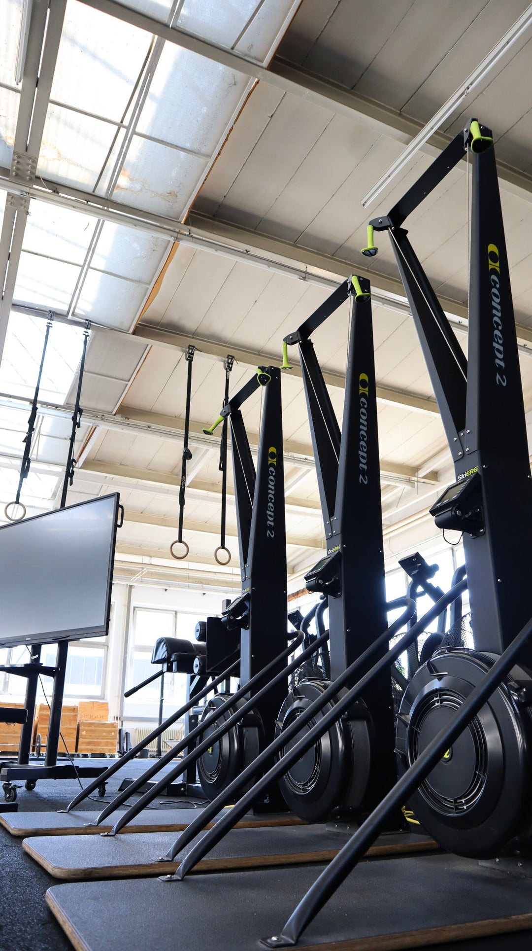 Fitnesstraining in Braunschweig bei Animo Forte. 